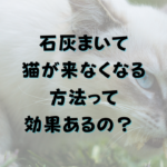 石灰まいて猫が来なくなる方法って効果あるの？